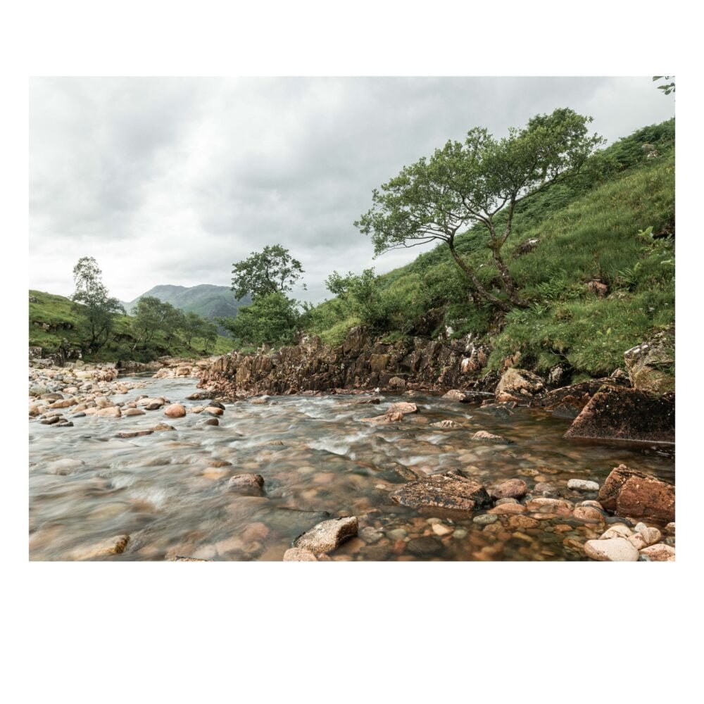 Full Flow Ahead